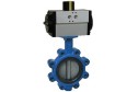 6390 - Lug-EPDM-Disco GGG40-CF8 - Wafer - Lug