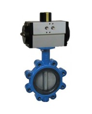 6390 - Lug-EPDM-Disco GGG40-CF8 - Wafer - Lug