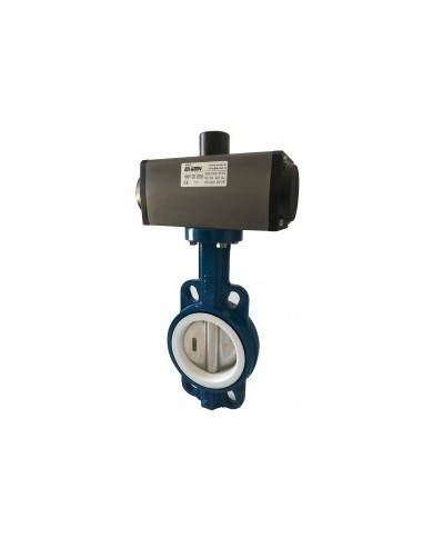 6467 - Wafer-PTFE-Disco CF8M Lucidato - Wafer - Lug