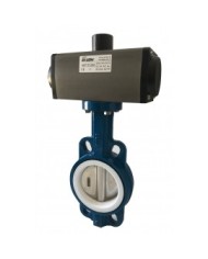 6469 - Wafer-PTFE-Body and Disc CF8M