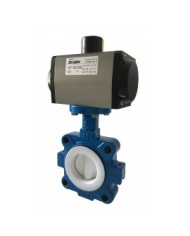 6469 - Wafer-PTFE-Body and Disc CF8M