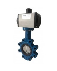 6490 - Lug-EPDM-NBR-FKM-MVQ-Disco GGG40-CF8M - Wafer - Lug