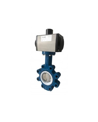 6497 - Lug-PTFE-Disco CF8M lucidato - Wafer - Lug