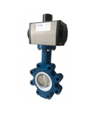 6499 - Wafer-PTFE-Body and Disc CF8M