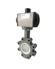 6499 - LUG-PTFE-Corpo e Disco CF8M - Wafer - Lug