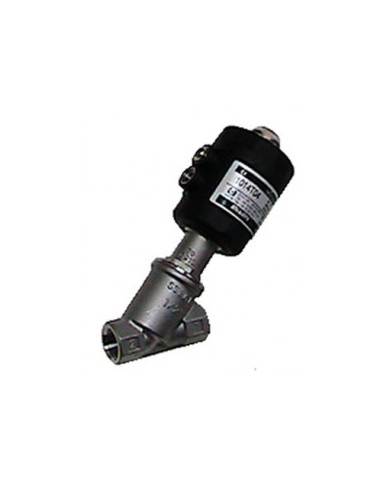 1000 - Inox A316L Attacchi Filettati G 1/2" - 2" - Opzionali