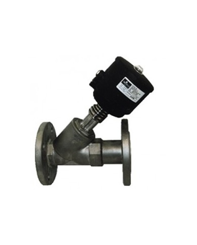 1400 - Inox AISI316L Attacchi a Flangia - Opzionali