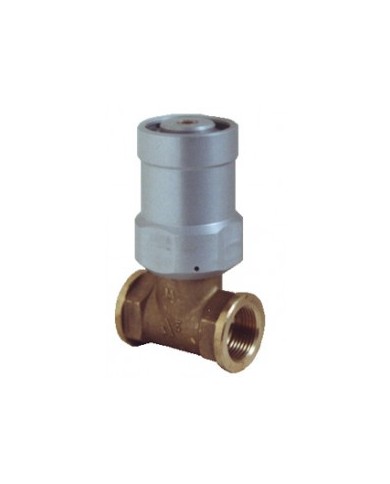 1600 - Ottone Filetto G 1/2" - 2" - Opzionali