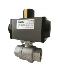 5712 - AISI 316-Alta Pressione-PN140 - Filettate