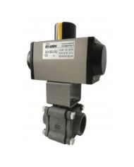 5516 - Corpo Acciaio Inox CF8M-PN140 - Acciaio Inox da Fusione