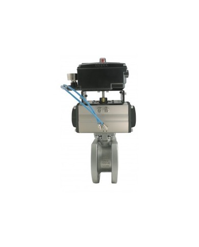 5413 - DN15/DN150 Inox CF8M- V-BALL - Wafer