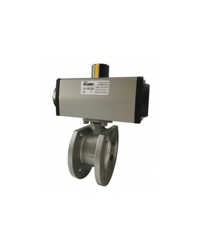 5414 - DN15/100 Inox CF8M - Wafer