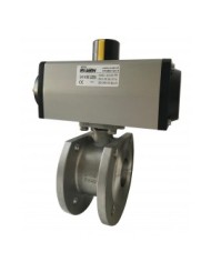 5414 - DN15/100 Inox CF8M - Wafer