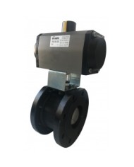 5465 - DN15/100 Corpo Acciaio al Carbonio - Wafer
