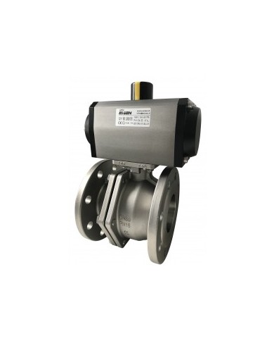 5211 - Acciaio Inox CF8M - DN15 - DN 150 - Flangiate